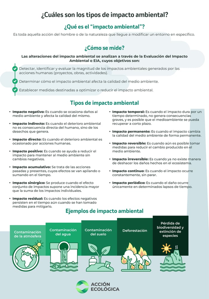 Infografía "Cuáles son los tipos de impacto ambiental" 